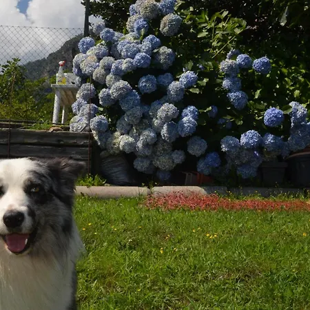 Apartament Casa Mailinne *