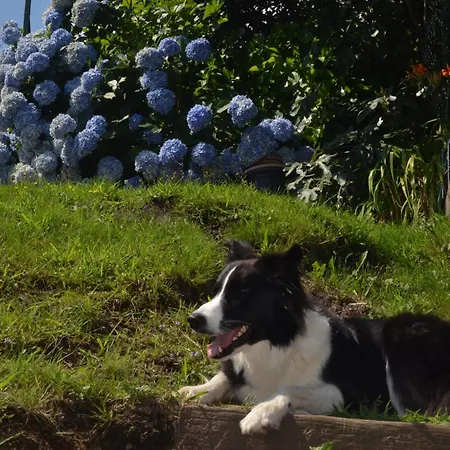 Casa Mailinne Apartament Baveno