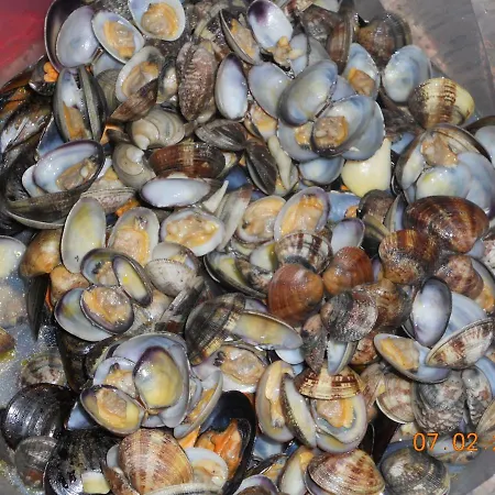 Apartament Casa Mailinne *